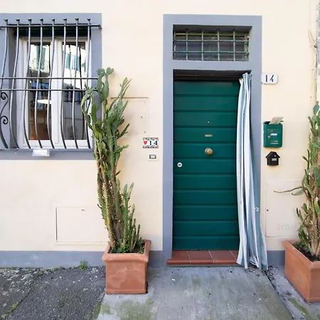Appartement I Cactus In Center Town