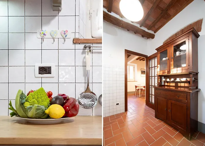 I Cactus In Center Town Lucca