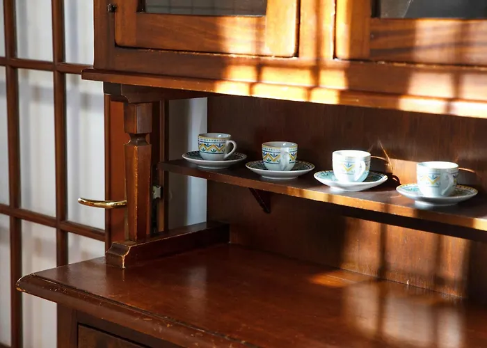 I Cactus In Center Town